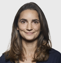 Platforms & Digital Markets Regulation: In Search of New Principles